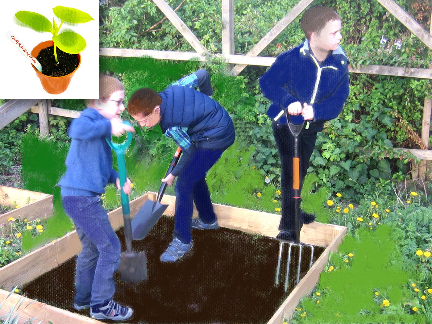 gardening-graphic